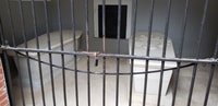 De Washington DC, Mount Vernon & Old Town Alexandria Tour - Housity