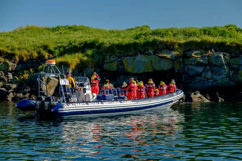 Reykjavik: Papegaaiduikers Tour
