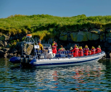 Reykjavik: Puffin Watching Tour