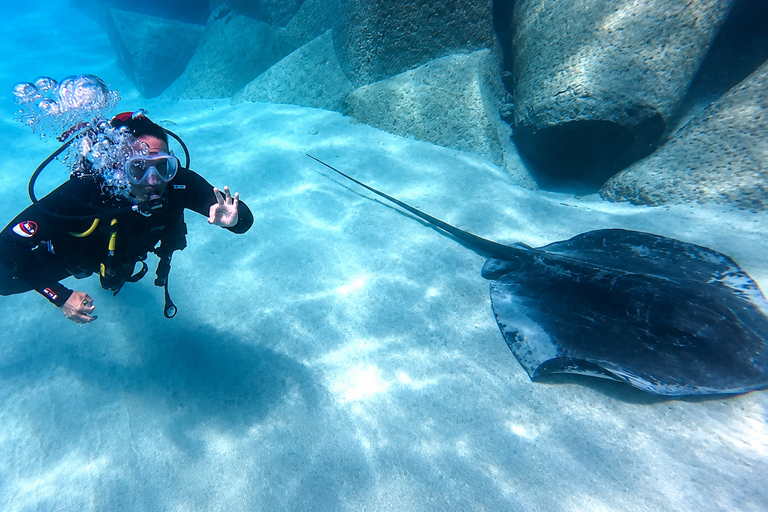 Fuerteventura: First-Time Boat Diving Experience - Introduction to Diving