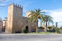 Cap de Forentor, Market, Beach en Alcudia Tour - Housity