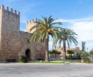 Cap de Formentor: Market, Beach, and Alcudia Tour