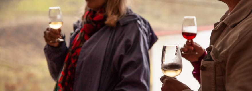 Gran Canaria : visite privée personnalisable