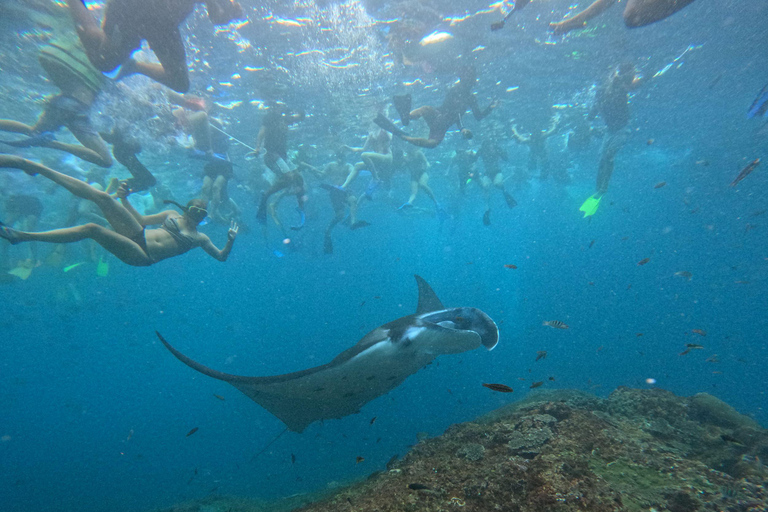 Bali: Excursión a Nusa Penida con Almuerzo y Snorkel en Manta PointBali Excursión de un día a Penida con almuerzo y buceo en Manta Point