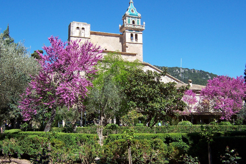 Maiorca: Soller Port e Valldemossa