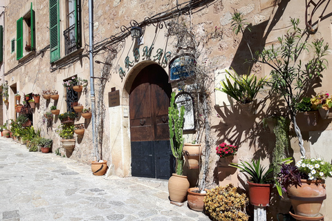 Majorque : port de Sóller et Valldemossa