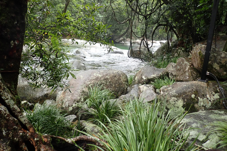 Cairns: Regnskog, kustlinje och landmärken Guidad tur