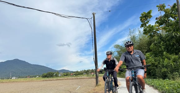 Langkawi: Small Group Countryside Cycling Tour Paddy Fields