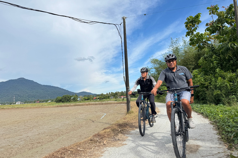 Langkawi: Small Group Countryside Cycling Tour Paddy Fields
