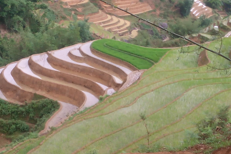 Van Hanoi: 3-daagse Sa Pa Etnische Homestay Trekking TourVanuit Hanoi: 3 dagen wandelen in Sa Pa met homestays