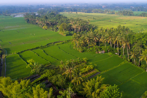 Ubud: jantar romântico entre os campos de arroz