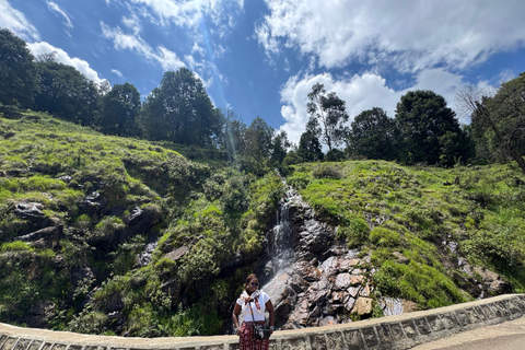 Addis Abeba: Bale-Gebirge &amp; Sof Omar-Höhle 4-tägige TourAddis Abeba: 4-tägige Tour zu den Bale Mountains und der Sof Omar-Höhle