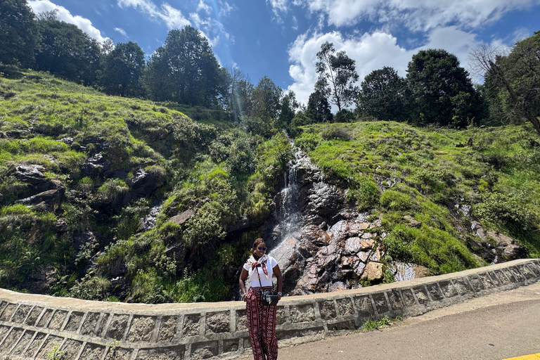 Addis Abeba: Bale-Gebirge &amp; Sof Omar-Höhle 4-tägige TourAddis Abeba: 4-tägige Tour zu den Bale Mountains und der Sof Omar-Höhle