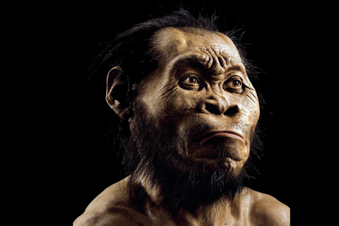 Cradle of Humankind and Sterkfontein Caves Half-Day Tour