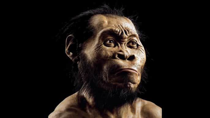 cradle of humankind and sterkfontein caves tour de medio día
