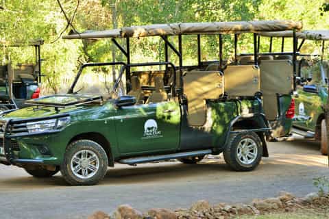 From Johannesburg: Pilanesberg Nature Reserve Game Safari