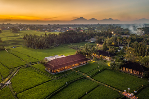 Ubud : dîner romantique parmi les rizières