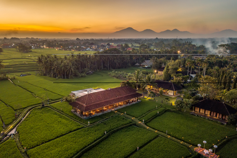 Ubud: Romantisk middag bland risfälten