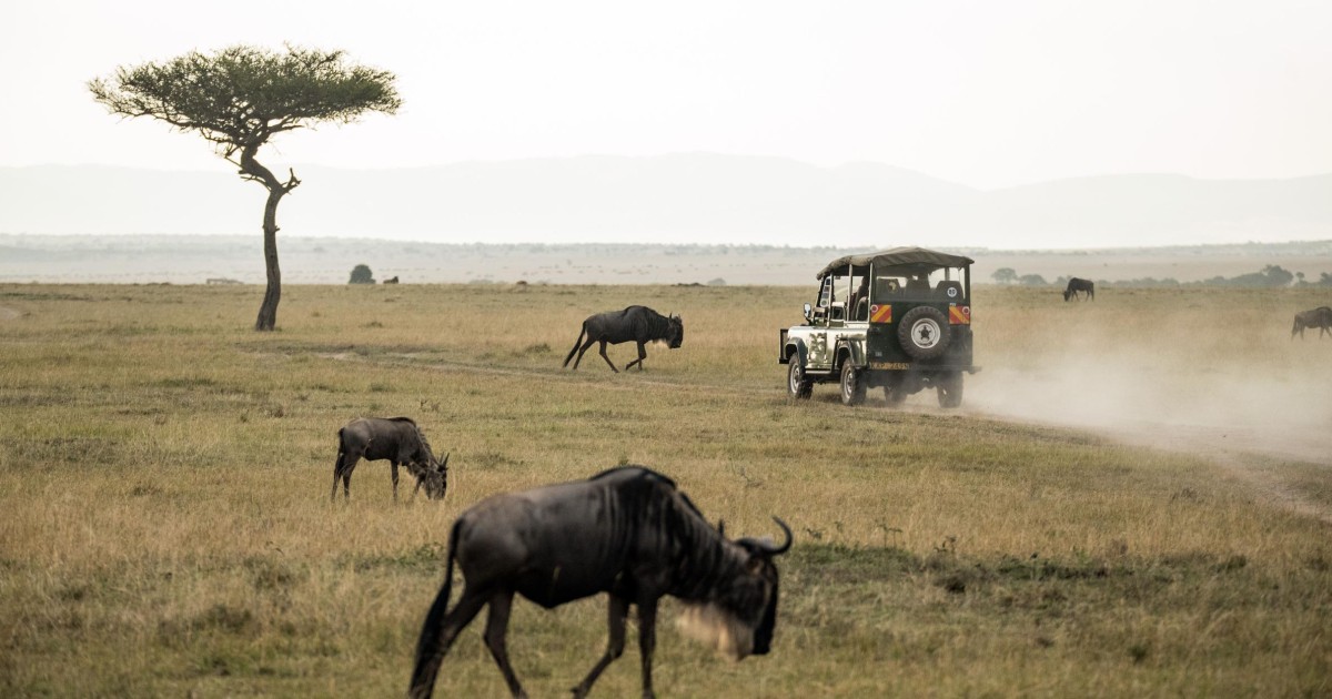 Pilanesberg Nature Reserve Full-Day Safari from Johannesburg
