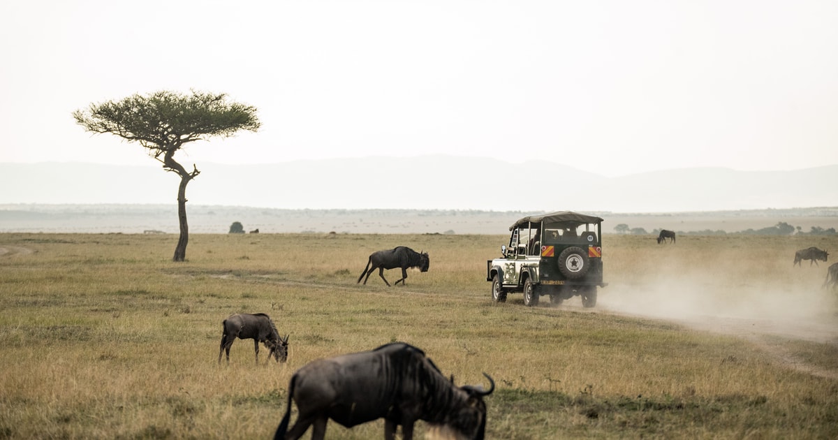 wildlife safari johannesburg