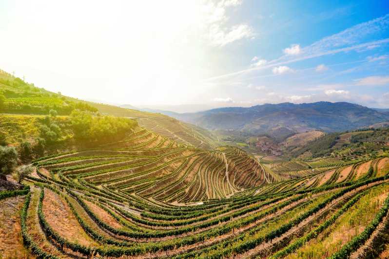 From Porto: Douro Valley w/ Boat Tour, Wine Tasting & Lunch