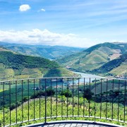 Fra Porto: Båttur i Dourodalen samt vinsmaking og lunsj