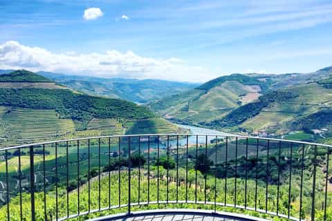 From Porto: Douro Valley w/ Boat Tour, Wine Tasting & Lunch