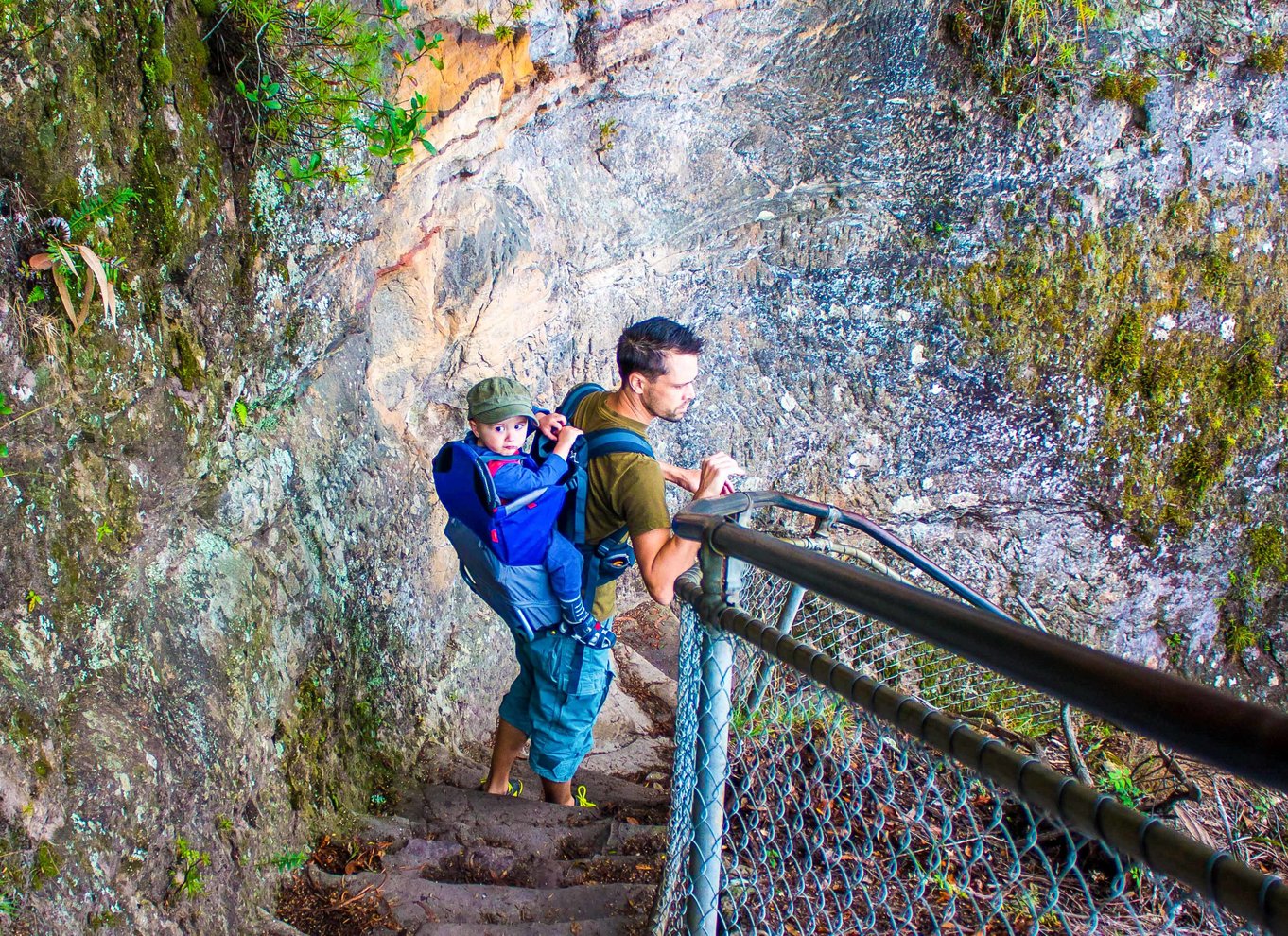 Katoomba: Lyrebird Hop-On Hop-Off og Scenic World Pass