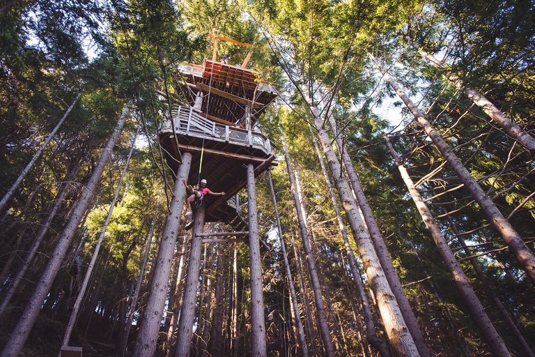 Queenstown : 1 heure de zipline avec 2 lignes et 21 mètres de chute