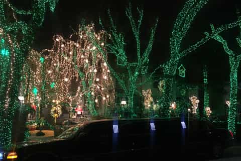 From Manhattan: Private Brooklyn Christmas Tour by Limousine