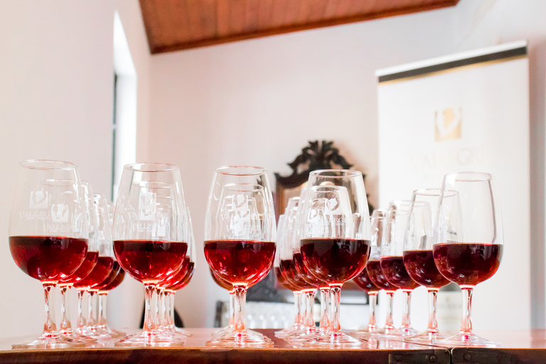 Porto: Concerto de Fado com Vinho do Porto na Loja de Música Histórica