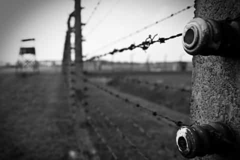 Auschwitz-Birkenau: tour guidato con trasporto privato