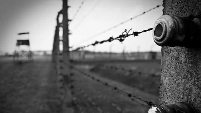 auschwitzbirkenau guided tour with private transport
