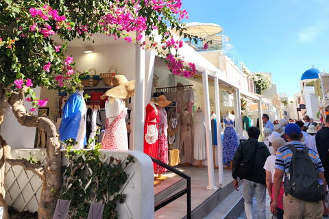 Santorini: Island Tour with Transfers