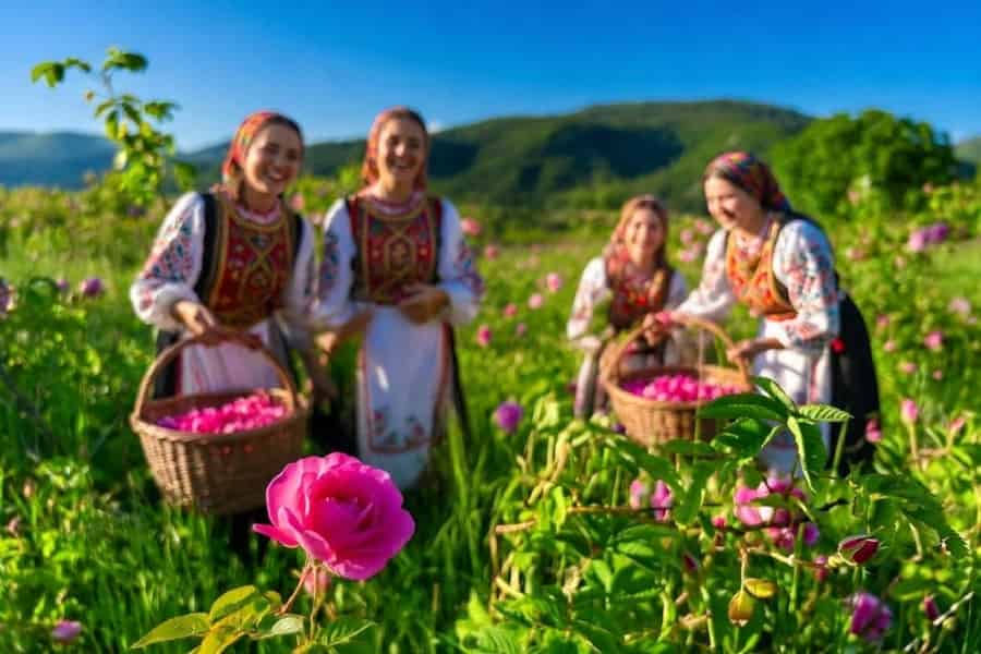 Ab Sofia: Tagestour ins Rosen-Tal, zum Schipka-Gebirge und nach Buzludzha. Foto: GetYourGuide