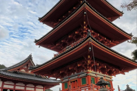 Kyoto: Private Tour with Nara included and English Driver