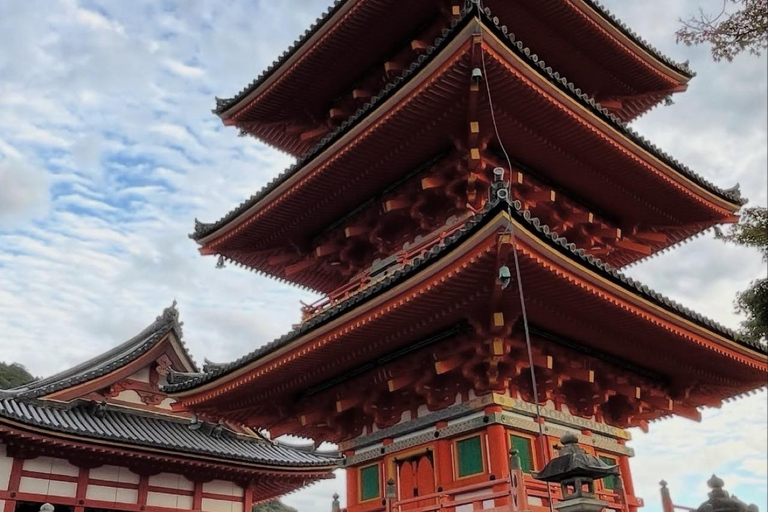 Kyoto: Private Tour with Nara included and English Driver