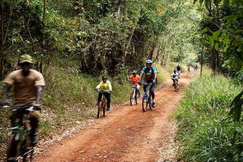 Wycieczka piesza i rowerowa po lesie Karura