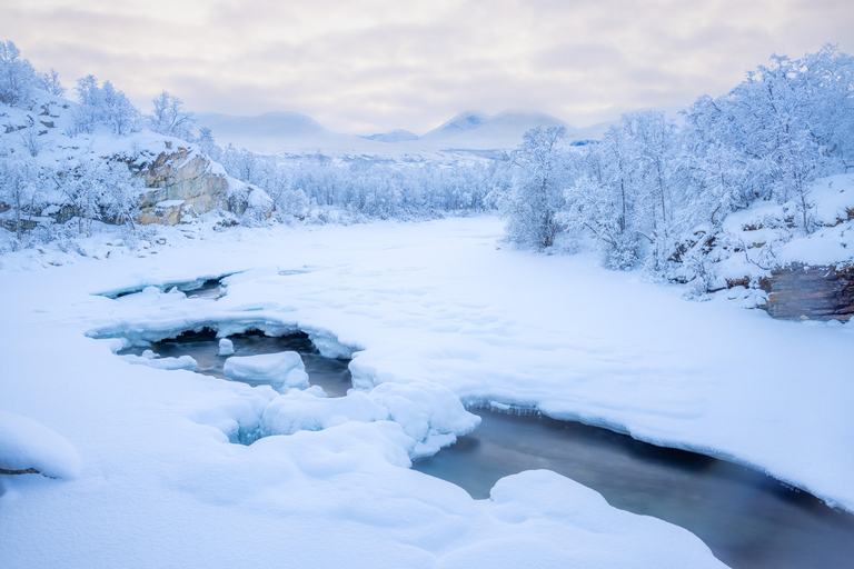 Abisko: Private Guided Hike in Abisko National Park