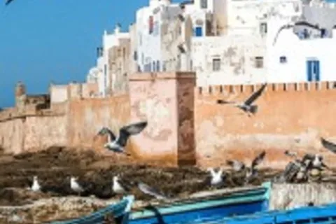 From Marrakech : Essaouira 01 day trip & argan cooperative