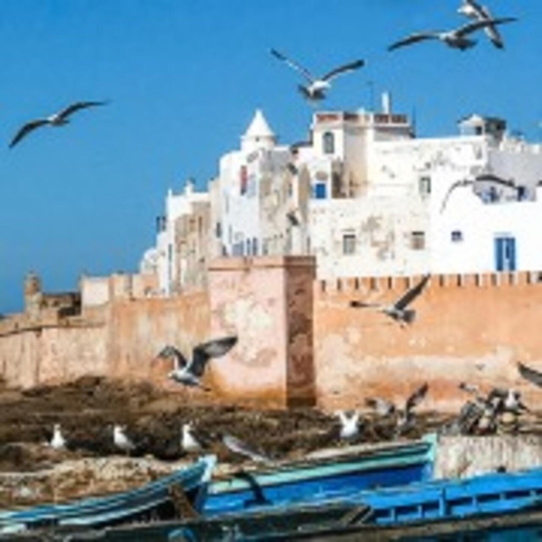 Au départ de Marrakech : Essaouira 01 excursion & coopérative d'arganiers - trekking