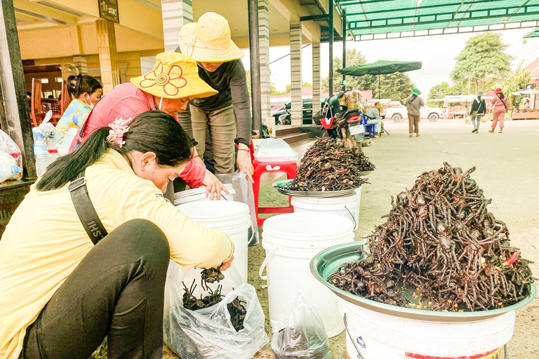 Phnom Penh: 2-Day Hidden Temples and Kulen Waterfall Tour 2-Day PNH - REP Hidden Koh Ker Temple Kulen Waterfall Tours