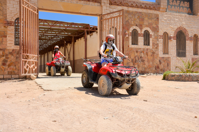 Hurghada: Full-Day Quad & Camel Ride, Stargazing, & Dinner All-Inclusive Tour from Hurghada