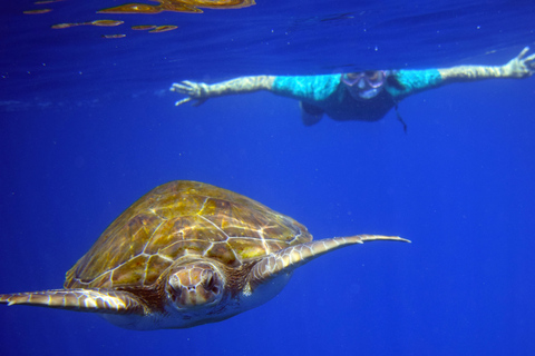 Tenerife: Caiaque e mergulho com snorkel com tartarugasTenerife: Caiaque e Mergulho de Snorkel com Tartarugas