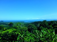 Cairns, Daintree, Mossman Gorge & Cape Tribulation Day Trip - Housity