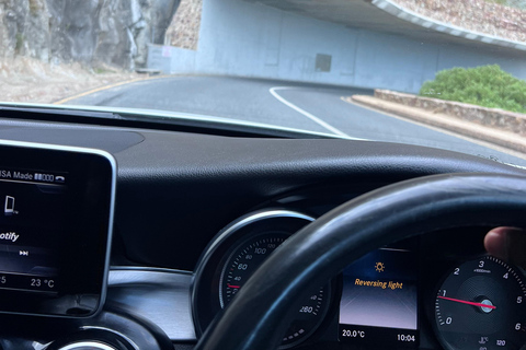 Cape of Good Hope, Chapman's Peak Drive, Penguins , Seals