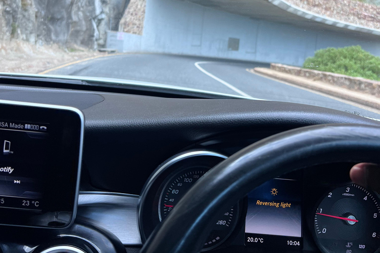 Cape of Good Hope, Chapman's Peak Drive, Penguins , Seals