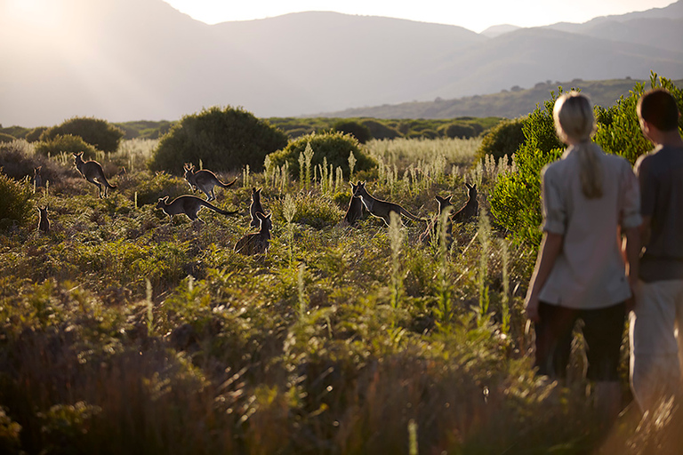 威尔逊海角国家公园全天生态游威尔逊岬国家公园全日游