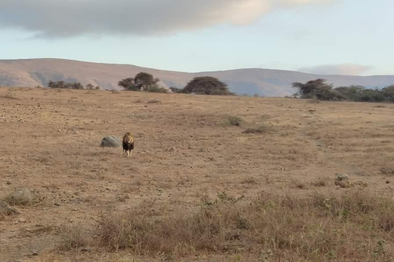 Dołącz do 5-dniowego safari Tarangire, Serengeti, Ngorongoro i Manyara