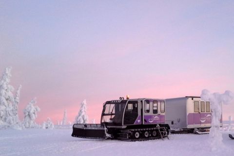 Luosto: tour alle miniere di ametista da Rovaniemi